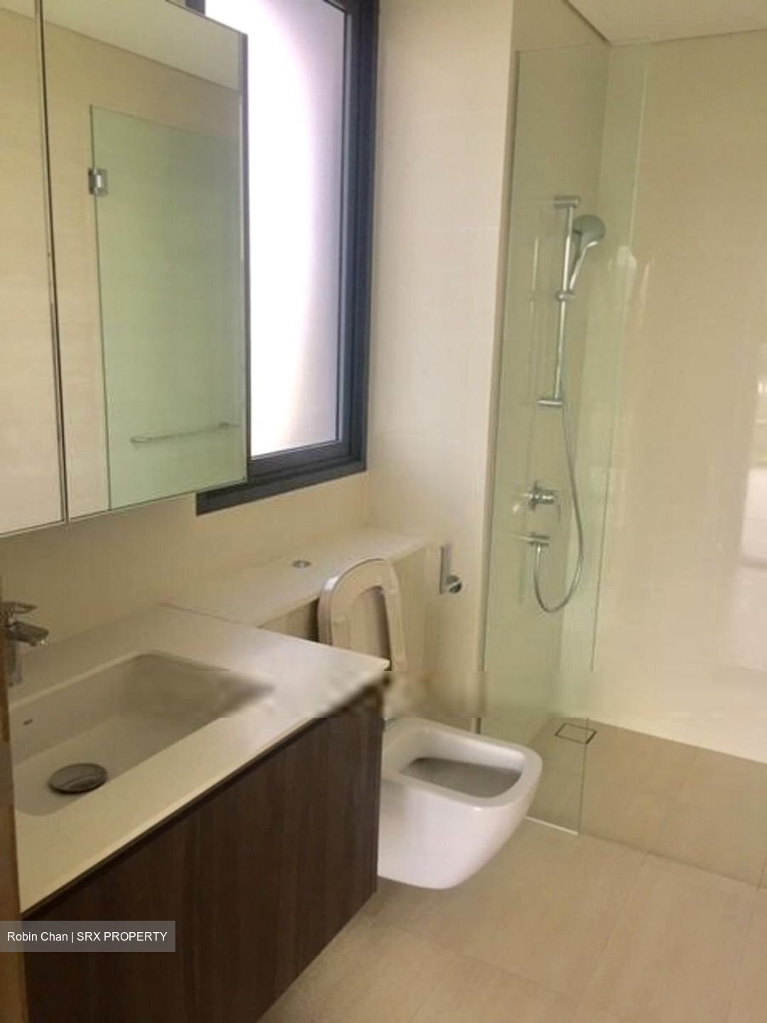 Lakeville (D22), Condominium #456690701